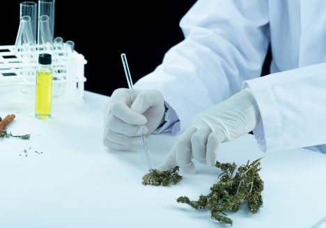 doctor-hand-hold-offer-patient-medical-marijuana-oil