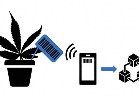 Track&Trace system for cannabis.