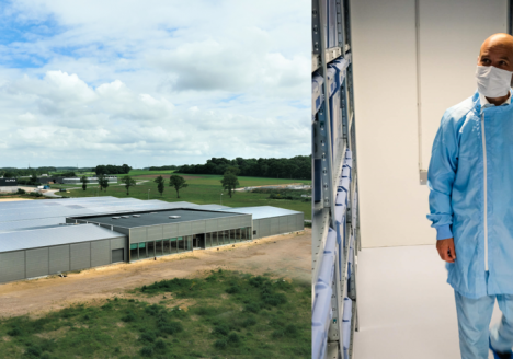 Canify AS and Bavaria Weed merge to form Canify AG